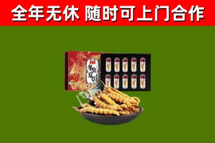 晋源回收冬虫夏草价格