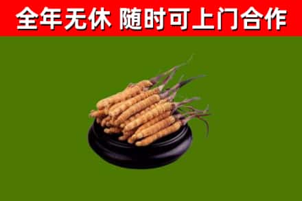 晋源烟酒回收冬虫夏草.jpg
